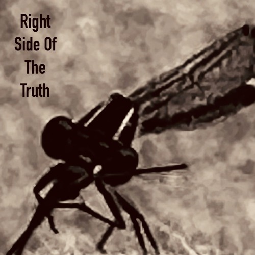 Right Side of the TRUTH w/Rob Olsson