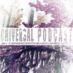 Universal Podcast