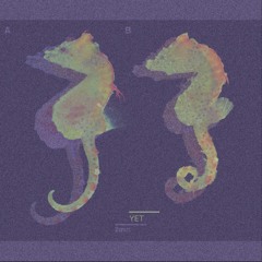 SEAHORSE