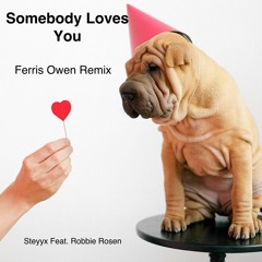 Ferris Owen Feat. Robbie Rosen - Somebody Loves You