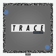 Trace & Survey - Detroit