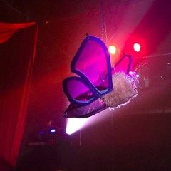 Mixed Signals - Sektor live set