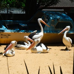 V:SONNTAG & Kontinum (opening set for nebula  - live recording - 24.10.25)