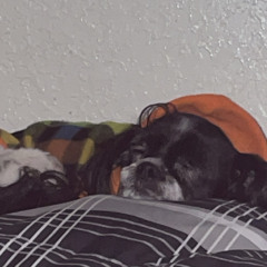 SleepyWeepy.m4a