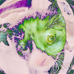 ✿✿✿_444444𐌋𐌵𐌍ᕓ𐌌𐌄𐌌𐌓Ꝋ𐌄𐌌𐌄Ꝋ𐌓𐌌ꝊᏔ✿✿✿