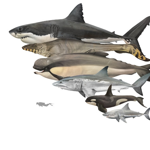 Almighty - POET & SK