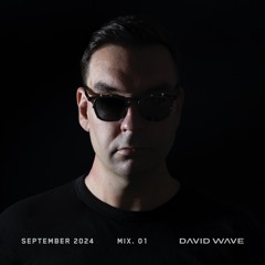 DAVID WAVE  | SEPTEMBER 2024 MIX 1