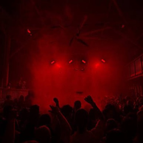 acid haus