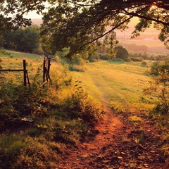 ket w rieke prod jshxwty