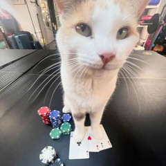 blackjack (prod.cvs)