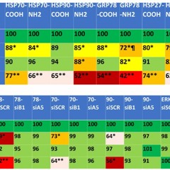 New Drug Combinations Inhibit Stress Proteins