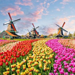Dolle Juin - Ik Hou Van Holland [FREE DOWNLOAD]
