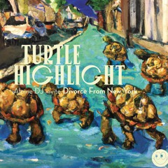 Turtle Highlight - Alpine Dj invite Divorce From New York (02.06.23)