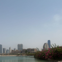 مثل الأوّل - فلاح بن ذروه