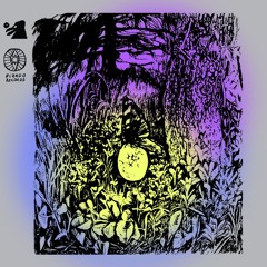 Birds of Bardo : Biardo Records (16.02.25)