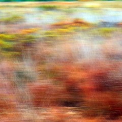 MoorArt Rhapsody - Ausschnitt