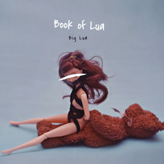 Book Of Lua