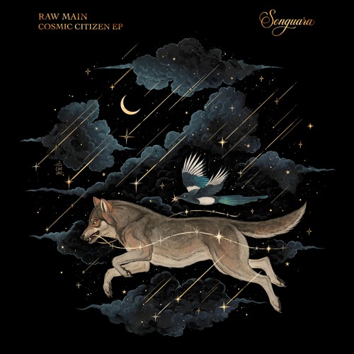 PREMIERE: Raw Main - Cosmic Citizen [Songuara]