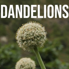 Trap Instrumental Beat - "Dandelions" (Prod. Taqydah)
