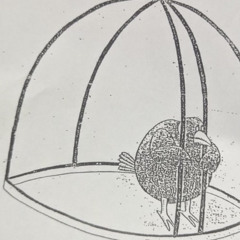 Currently(lost files)