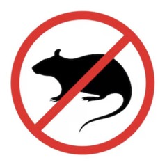 ХАМСКАЯ НАТУРА