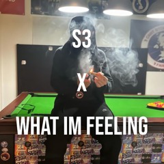S3 X WHAT IM FEELING