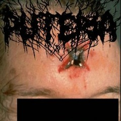 stop touching gilbert with ur HANDS (stavi on guitar and vocals buddah on drums)