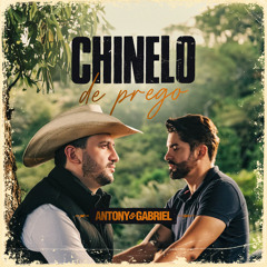 Chinelo de Prego