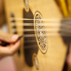 يا نور العين - مطرف المطرف