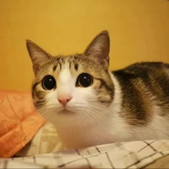 ну и чо мне делать (normal version)