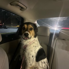 big krit prod bullseye