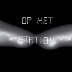 Op het station