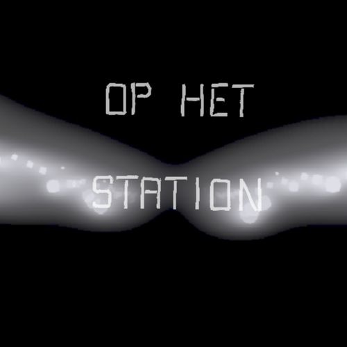 Op het station