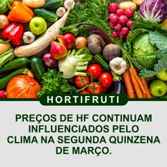 Preços de HF continuam influenciados pelo clima na segunda quinzena de em março?