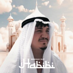 Bogdan DLP - Habibi (808fxri Remix)