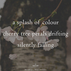 Cherry tree petals (naviarhaiku585)