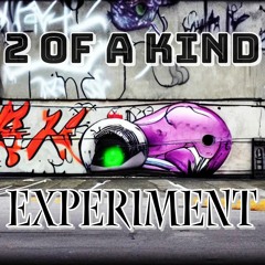 2 OF A KIND - EXPERIMENT (OUT NOW)