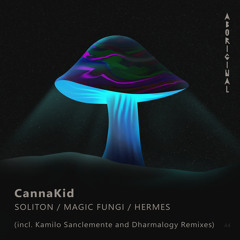 Premiere: CannaKid - Soliton (Kamilo Sanclemente Remix) [Aboriginal]