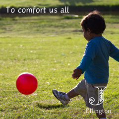 To Comfort Us All (Share Your Love)