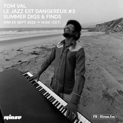 Tom Val : Le Jazz Est Dangereux #3 Summer Digs & Finds - 25 Septembre 2022