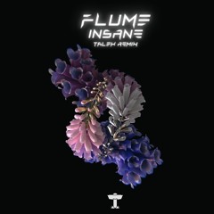Flume - Insane (TALEX Remix)