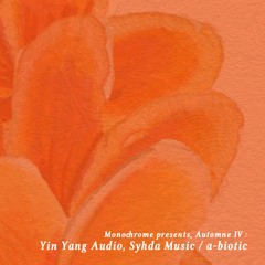 Monochrome presents, 𝖆𝖚𝖙𝖔𝖒𝖓𝖊 𝖑𝓥 : Yin Yang Audio.