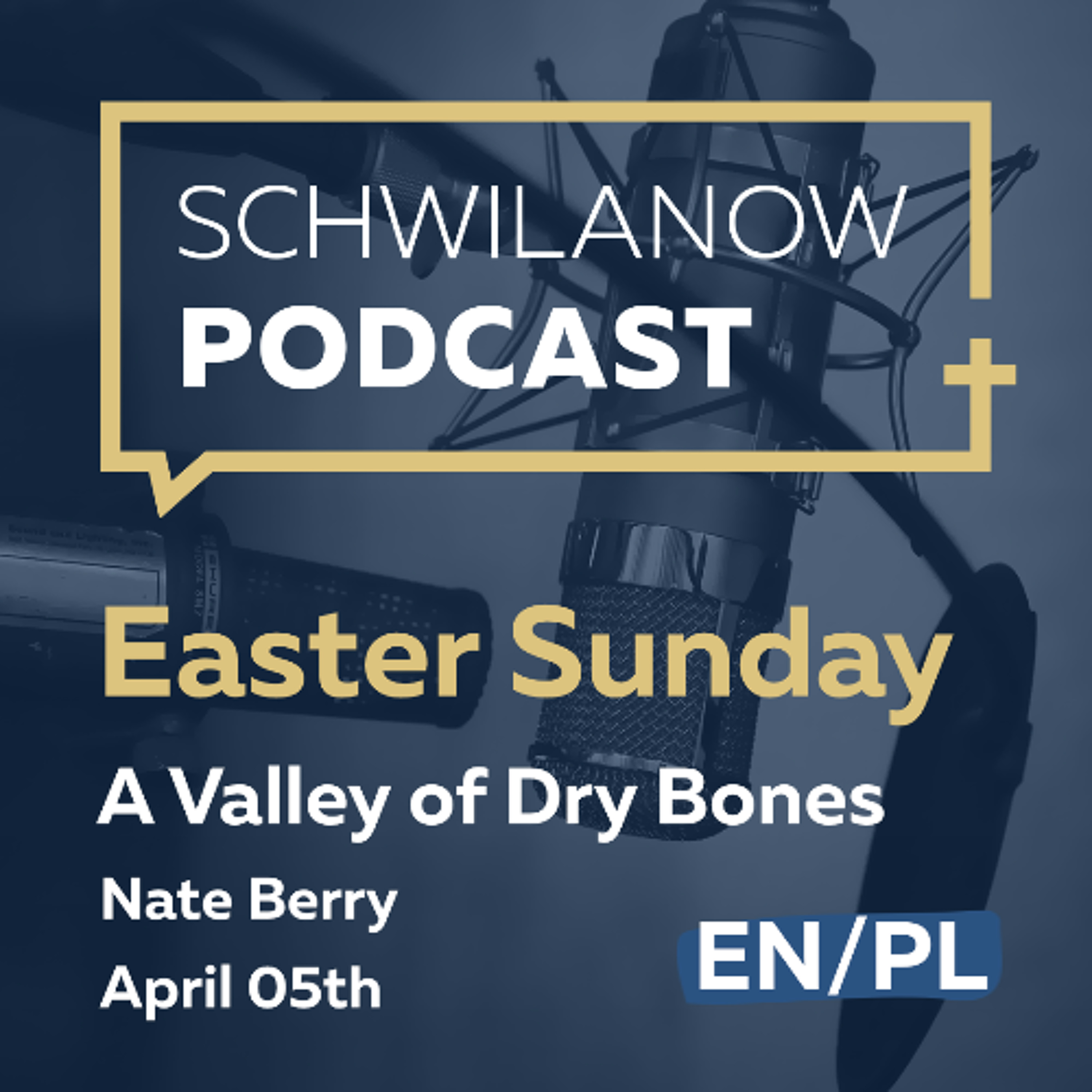 Easter Sermon: A Valley of Dry Bones episode artwork