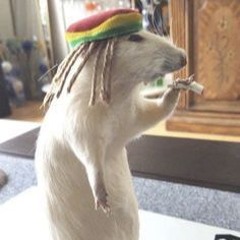 u not like us 🖕 ft. okami (prod. whyconor+)