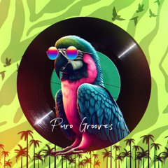 puro grooves vol. 005