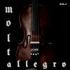 Download Video: Molto Allegro