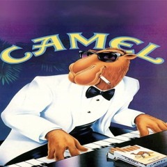 WAËL - COULEUR CAMEL (prod By Luma)