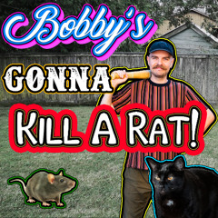 Bobby's Gonna Kill A Rat