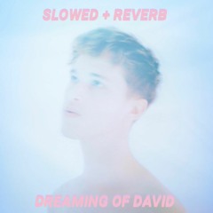 DREAMING OF DAVID BY RYAN BEATTY (SLOWED + REVERB)