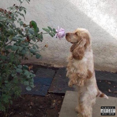 FRIEND ZONE ft Jaiyus